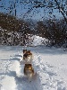  - nouvelles photos dans la rubrique Balades