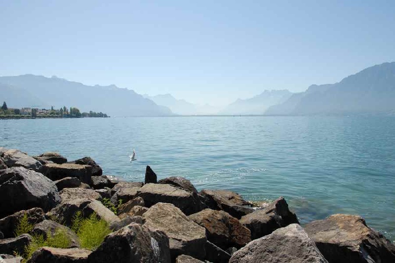 Lac léman